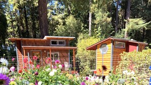 A wooden cabin surrounded by a garden with various flowers. - Charming Tiny House nestled in the redwoods, less than a mile from the beach. (Fort Bragg)
