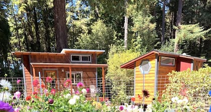 Charming Tiny House nestled in the redwoods, less than a mile from the beach.