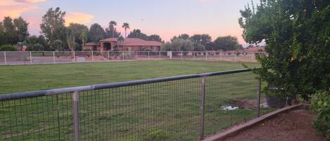 المنطقة المحيطة بالمنشأة