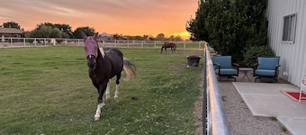 Guest House with horse privilege's, in the country & beautiful neighborhood.