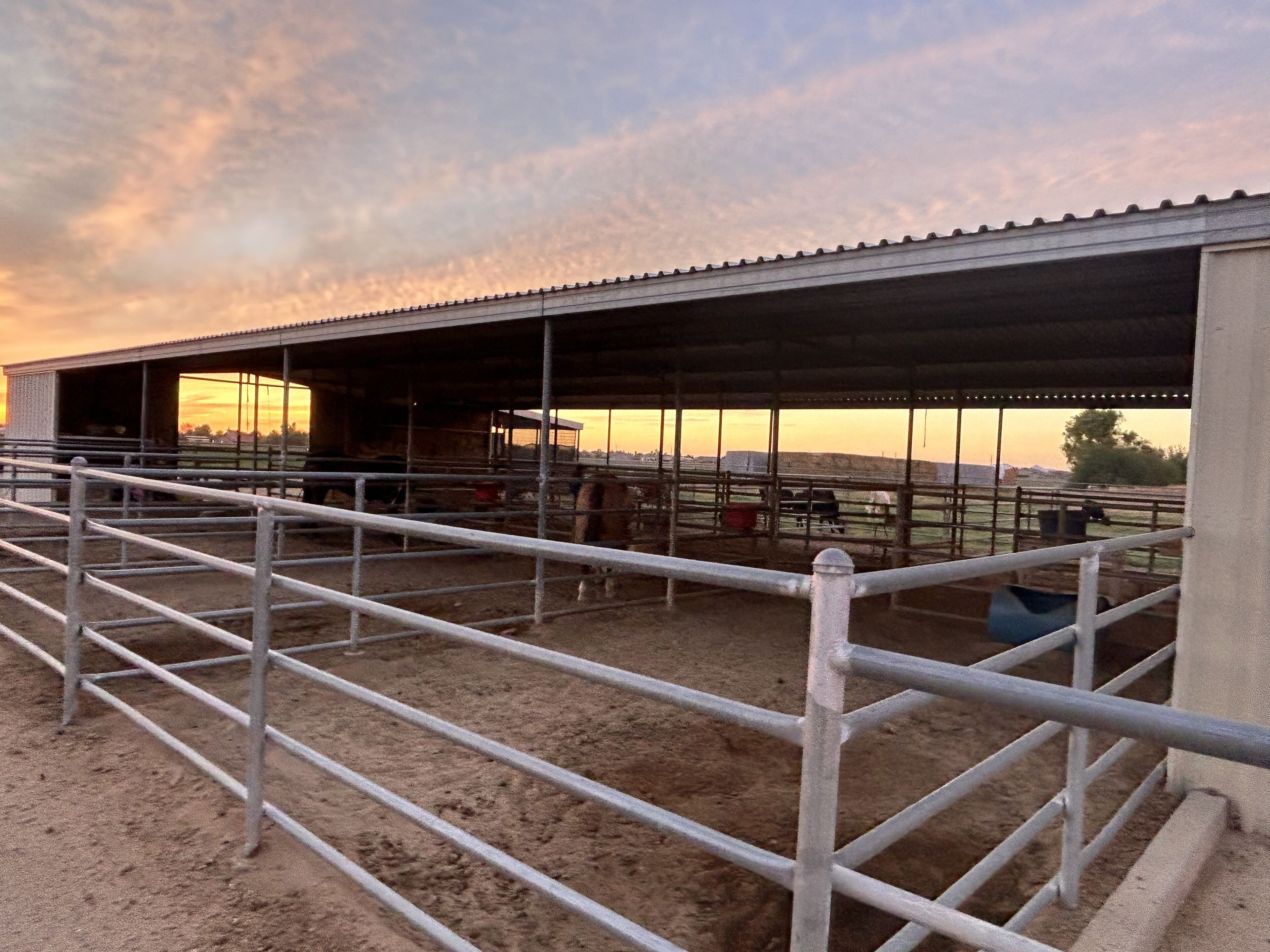 A stable with metal railings and a dirt floor, surrounded by open space.