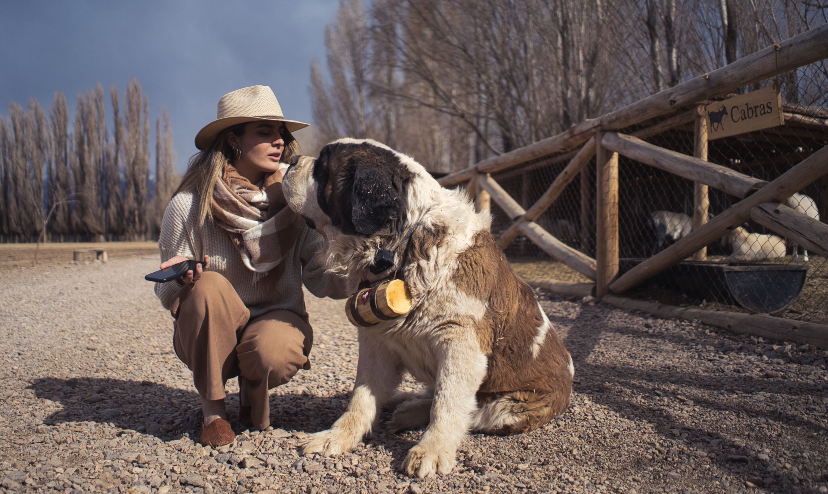Une personne assise par terre, à côté d’un grand chien.