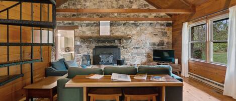 Smart TV, fireplace, Netflix, books