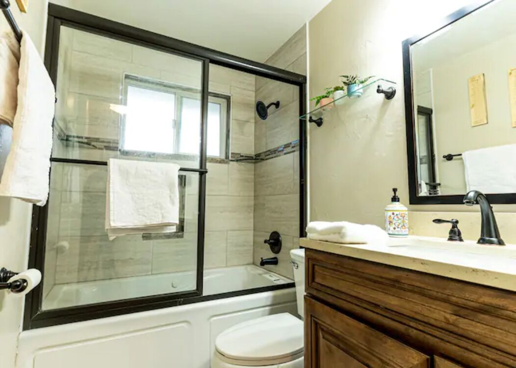 A bathroom with a glass-enclosed shower, a white toilet, a wooden vanity with a mirror, and a small shelf with a plant.