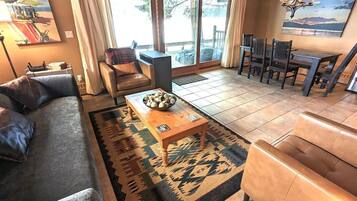 TV, fireplace, DVD player, books