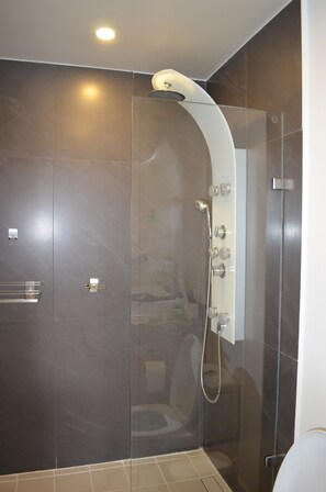 Douche, séchoir à cheveux, serviettes fournies, savon