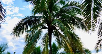 Luxury Oceanfront Condo in Manzanillo