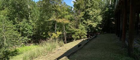 A grassy area with trees and a wooden structure.