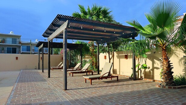 Un'area relax all'aperto con sedie a sdraio, un vialetto in mattoni e palme.