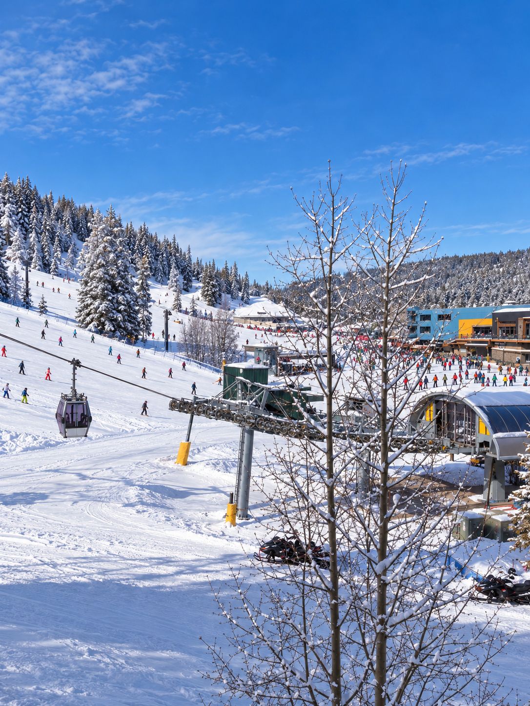 Snow and ski sports