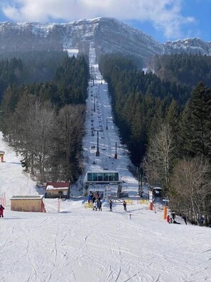 Sne- og skisport