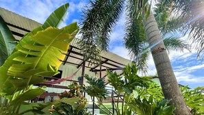 A tropical garden with various plants and a building with a corrugated metal roof. - Cabinas Brisa Del Mar (Jacó)