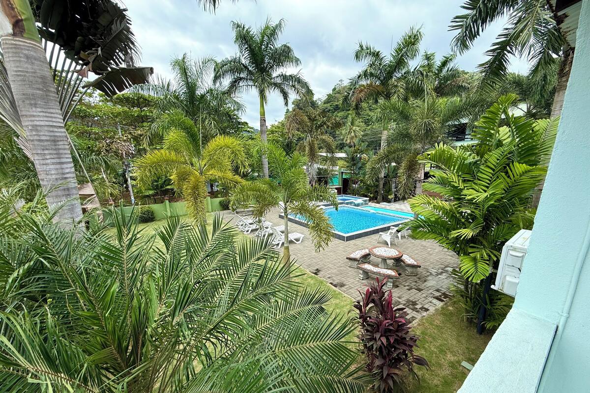 A pool area surrounded by lush greenery, including palm trees and various plants.