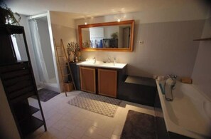 Bathtub, hair dryer, toilet paper