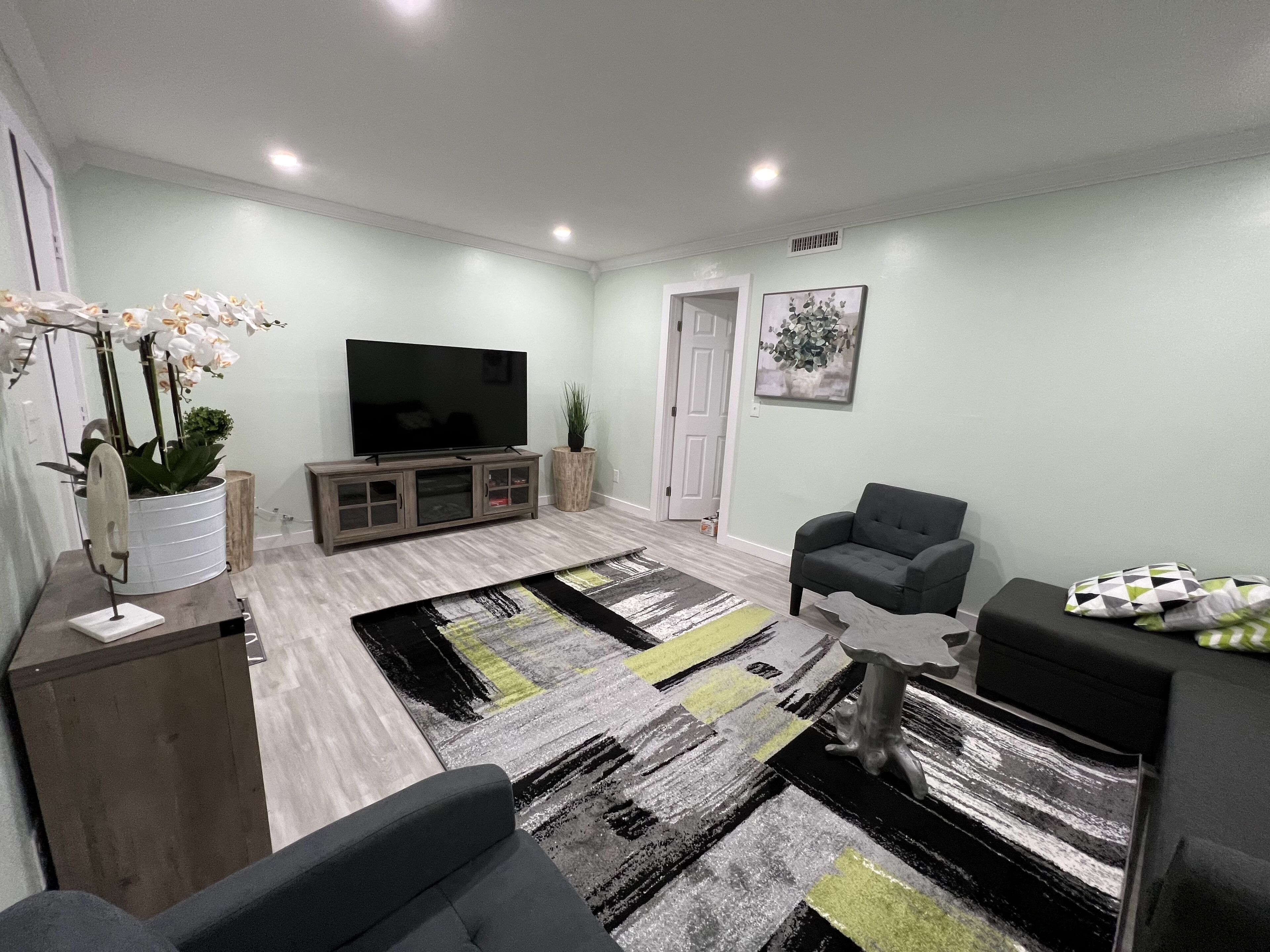 Smart TV, fireplace, books