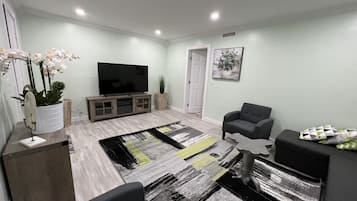 Smart TV, fireplace, books