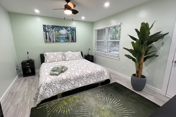 2 bedrooms, desk, iron/ironing board, free WiFi
