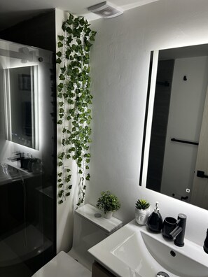 Shower, hair dryer, towels, soap