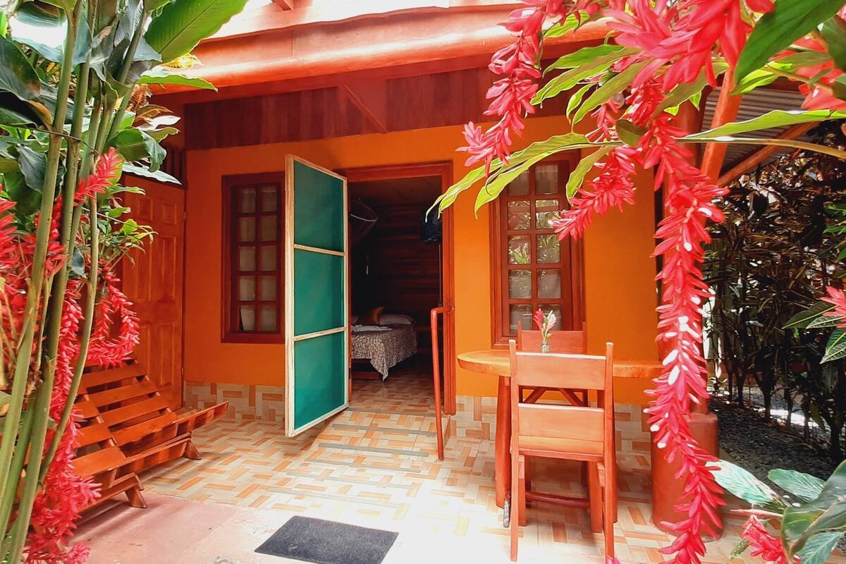 A cozy, open-plan living area with a wooden bench and a table, surrounded by lush tropical plants and a bright orange wall.