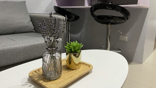 A modern living room with a grey sofa, a white coffee table, a glass vase with dried flowers, a succulent plant, and a wooden tray.