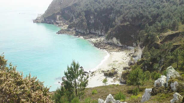 A coastal landscape with a beach, rocky cliffs, and dense forest.