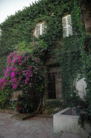 Détail de l’extérieur