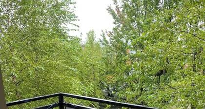 Beautiful 2 bedroom in Queens