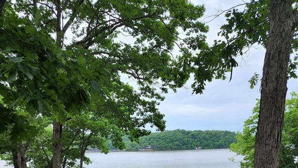 A lakeside view with boats docked, a wooden deck, and a grassy area. - Lake of the Ozarks Secluded Vacation Home Waterfront with a Covered Dock. (Stover)