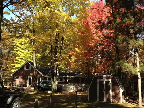 Cozy Northwoods Cabin