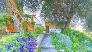 A stone pathway leading to a wooden door, surrounded by lush greenery and trees.