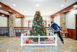 Lobby - Rimfire 421 Cozy Studio just steps from the village Slope Side (Snowshoe)