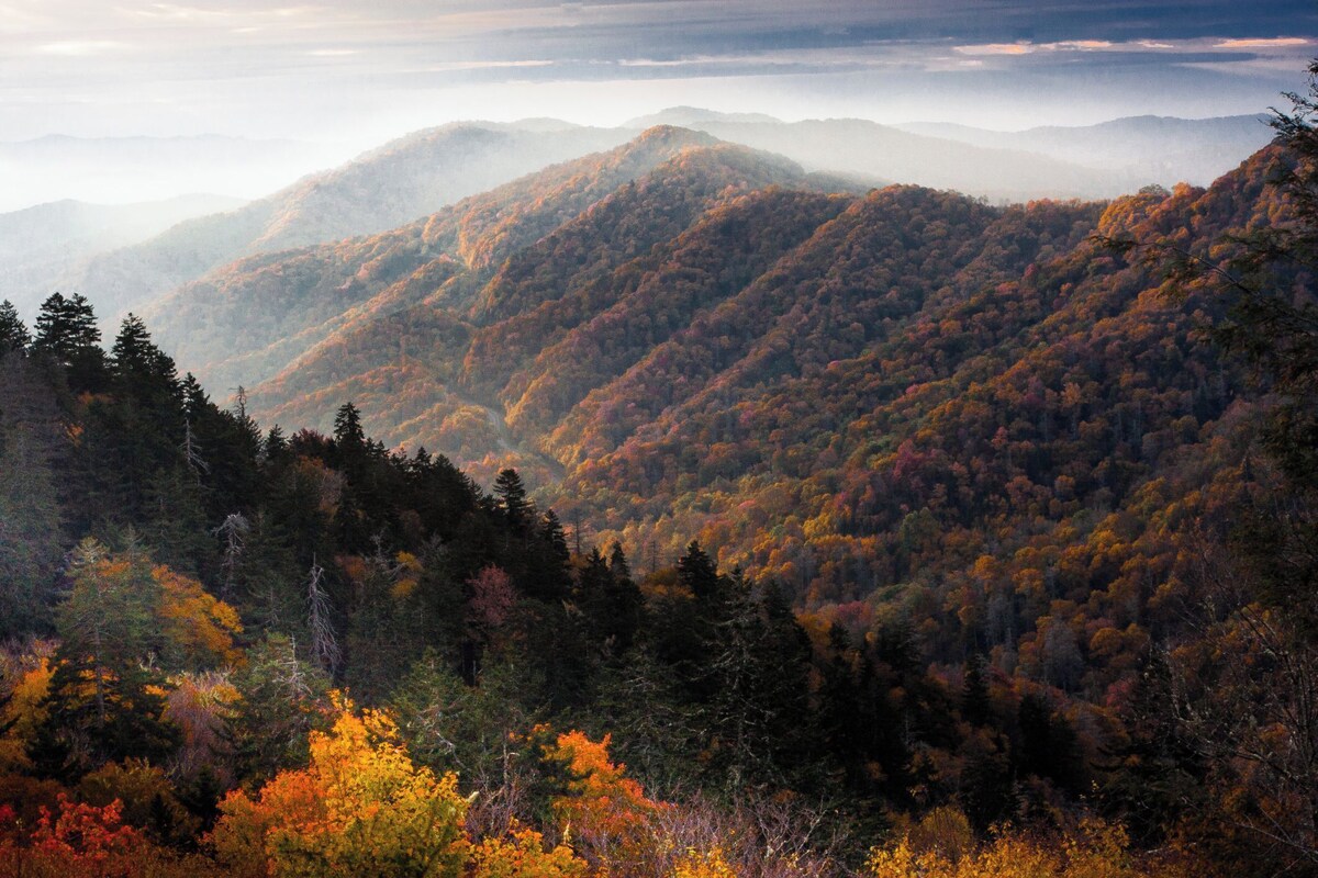 Photo 82 of Stunning Views! 3Bed 3Bath, Pet friendly! Close to National Park and Gatlinburg!