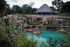 Natural pool