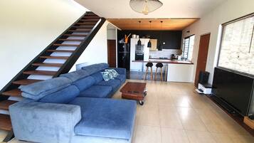 Smart TV, stereo, computer monitors