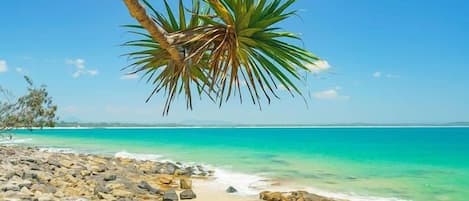 Lägenhet Deluxe | Utsikt mot havet/stranden