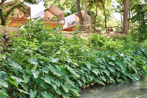 A riverside area with a wooden bridge and modern treehouses. - 14 Son's Rio Cibolo - Birdhouse Cabin (Marion)