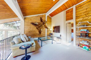 テレビ、暖炉、書庫、ステレオ