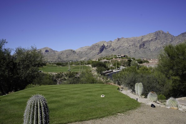 Un paysage montagneux avec une pelouse bien entretenue, des cactus et quelques bâtiments en arrière-plan.