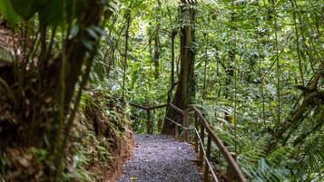 Àrea exterior de l'allotjament