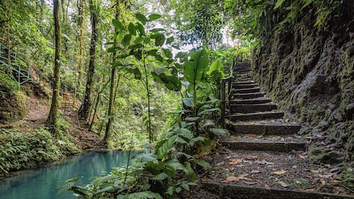 Rainforest Glass Cabin, El Congo, La Fortuna