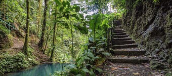 Rainforest Glass Cabin, El Congo, La Fortuna