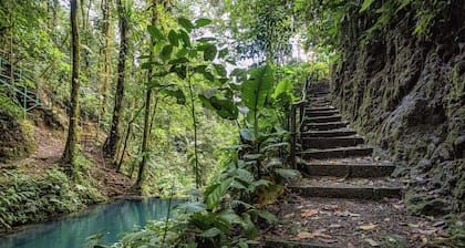 Rainforest Glass Cabin, El Congo, La Fortuna
