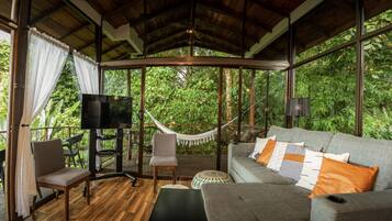 Televisión y estéreo