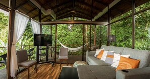 Televisor i estèreo 