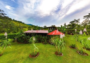 Property grounds - Rainforest Glass Cabin, El Congo, La Fortuna (La Fortuna)