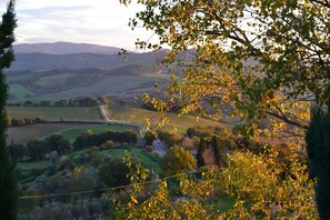 Ländliche Landschaft mit sanften Hügeln, einer gewundenen Straße und einem Baum im Vordergrund.