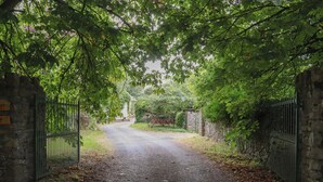 A paved pathway leading through a gated area with stone walls and lush greenery overhead. - The Dairy (Ardfinnan)