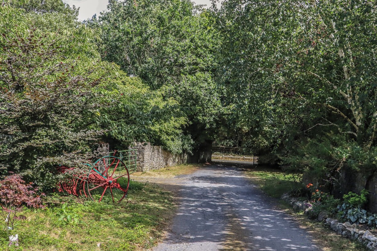 A narrow rural road flanked by dense foliage and a stone wall.