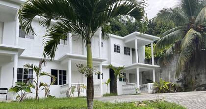 Captivating 3-bed Villa in Port Antonio