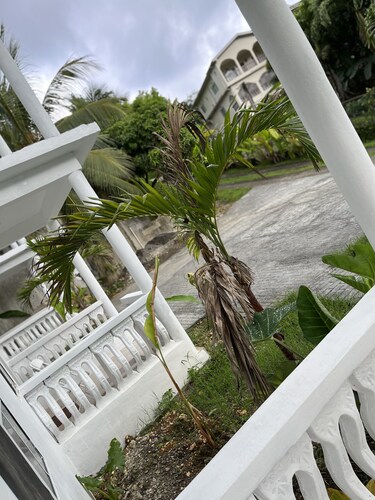 Captivating 3-bed Villa in Port Antonio